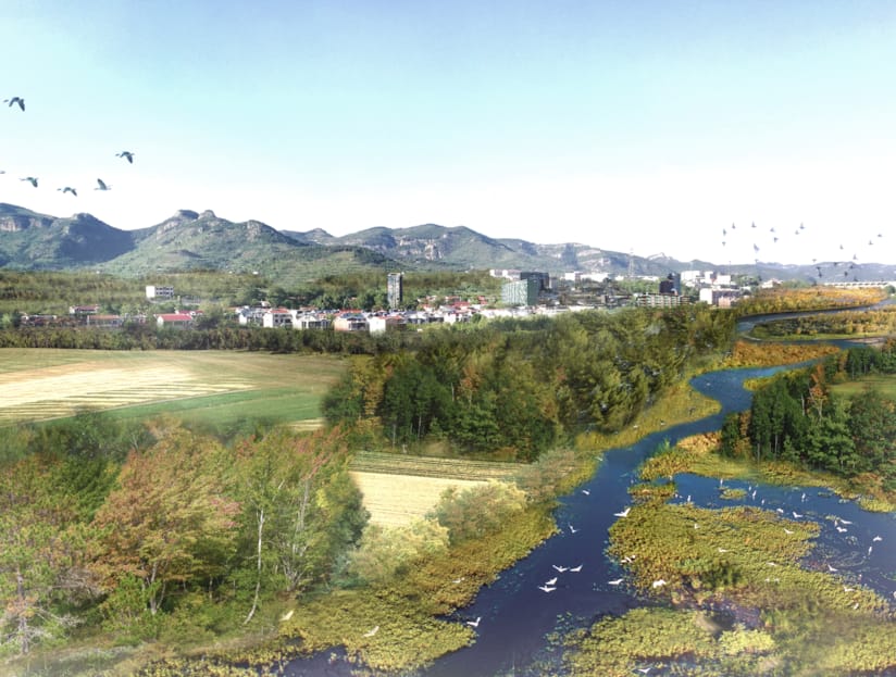 Eco Masterplan